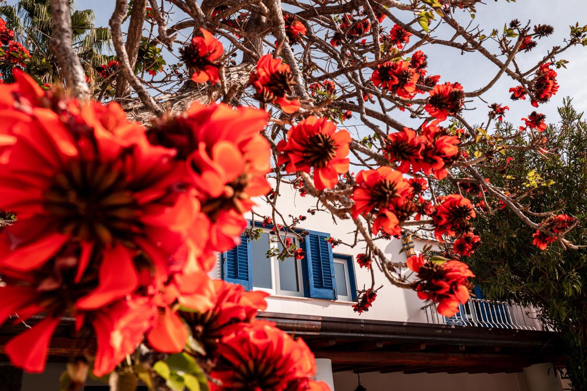 Hotel Residence La Villetta Canneto  Kültér fotó